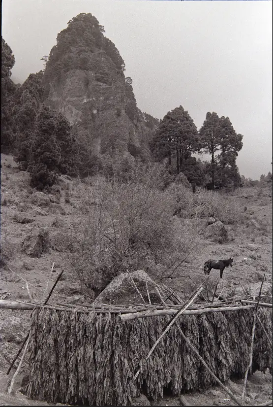 Excursión a La Caldera.